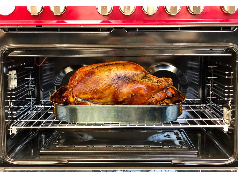 Cook Your Thanksgiving Turkey To Perfection with Verona Appliances